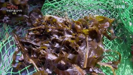 극한직업 - Extreme JOB_미세먼지를 잡아라!- 도라지부터 미역까지!_#003