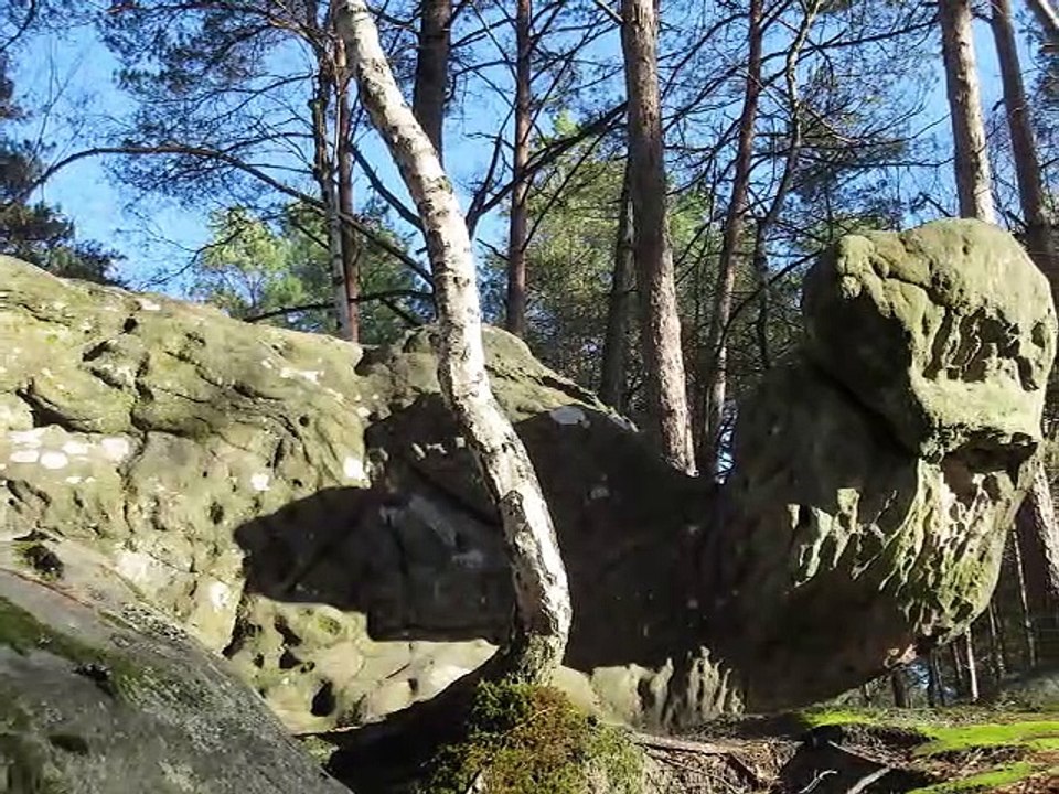 STONEJINNS 4