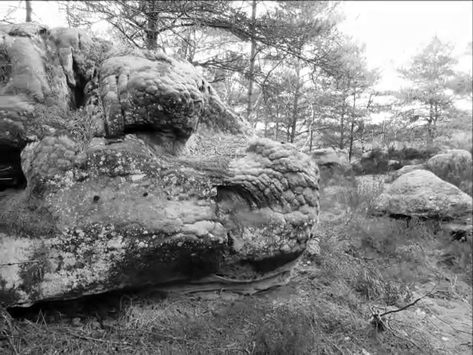 Stonejinns B&V