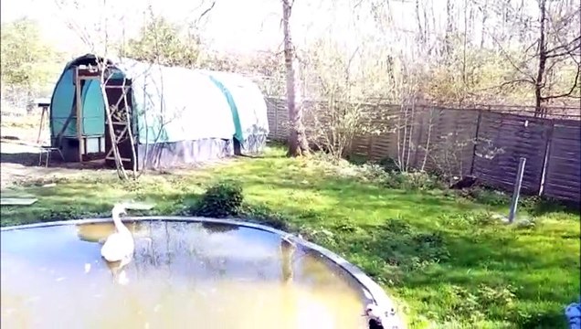 En visite au Centre de soins de la faune sauvage de Dudelange