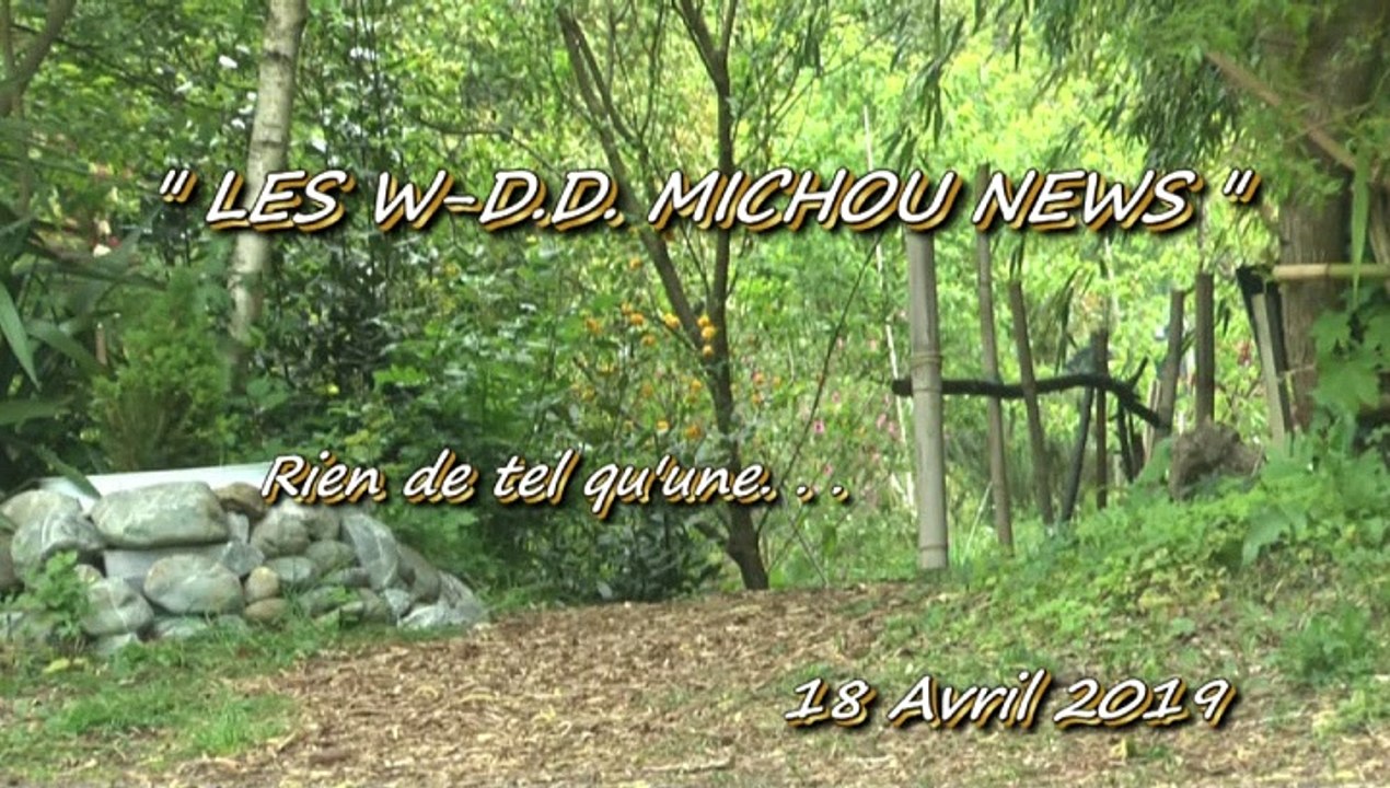 LES W-D.D. MICHOU NEWS - 18 AVRIL 2019 - PAU - PETITE PROMENADE MATINALE AU JARDIN DE TRESPOEY