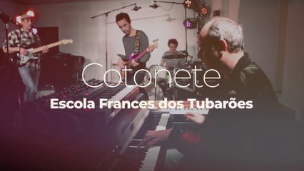 Cotonete "Escola Frances dos Tubarões"