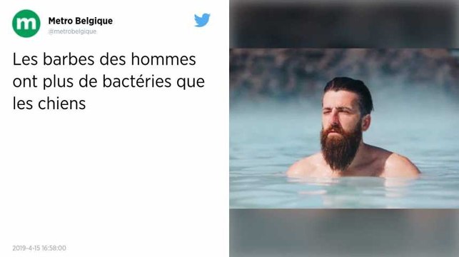 Les barbes des hommes abriteraient plus de bactéries que les poils des chiens