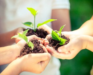 4 résolutions écologiques pour la journée de la Terre