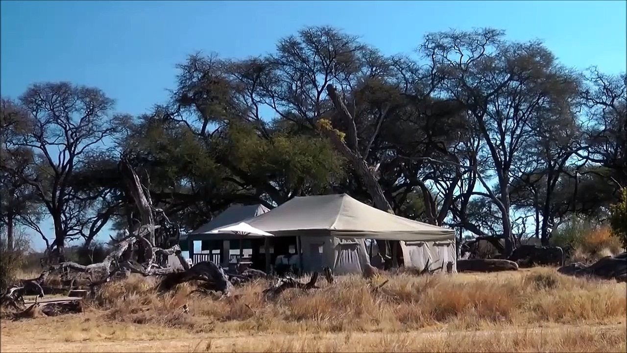 Somalisa Camp  national Park ZImbabawe  Surprise visit from Wild Elephants Drink from pool