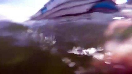 Scientists Record Conversations Of Mysterious, 'Solitary' River Dolphin From Brazil