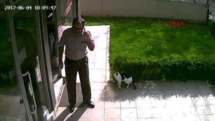 Eskişehir Kediye Tekme Atma Davasında Karar