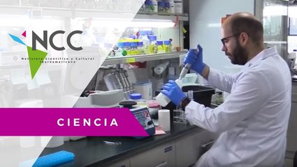 Nanomedicinas para el tratamiento del cáncer de próstata.