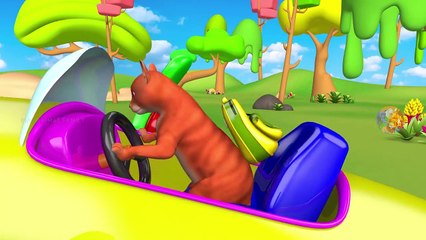 Les Animaux de Zoo le Plaisir de Jouer avec des Boules de Couleur des Jouets en Bois Marches en Spirale pour Apprendre les Couleurs aux Enfants de la Forêt | Peony Noakes
