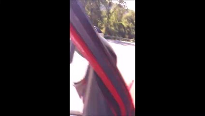 Motoristas ajudam bicho-preguiça a atravessar a BR 262