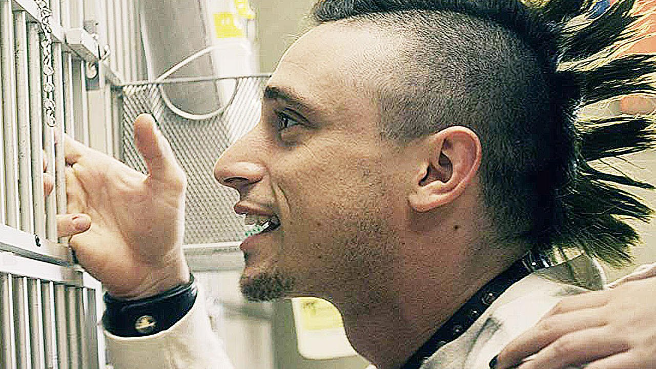 Bomb City - Trailer (Deutsch) HD