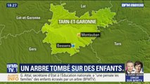 Arbre tombé sur des enfants: 