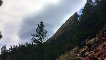 Dream Bubble One Minute Nature Bath 55