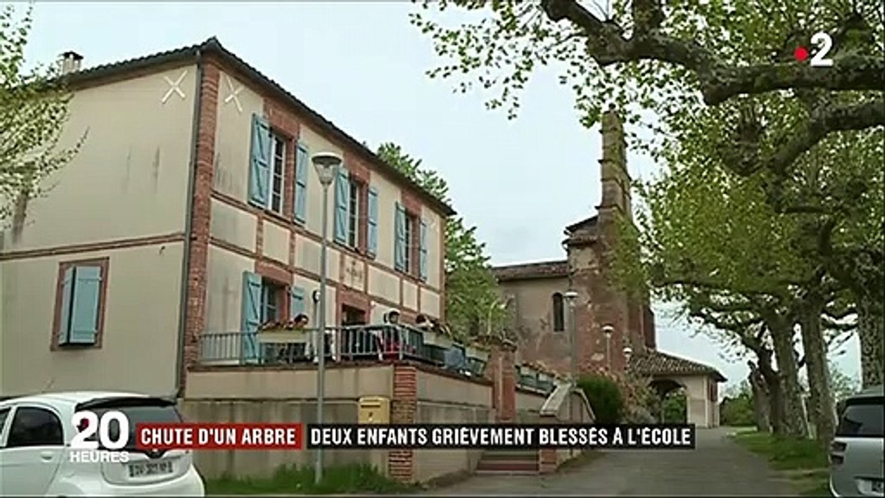 Tarn-et-Garonne : deux enfants grièvement blessés par la chute d'un arbre dans une école