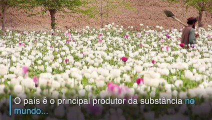 Trump enviará 'soldados armados' para a fronteira