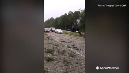 Traffic on Interstate 26 halts due to multiple trees down