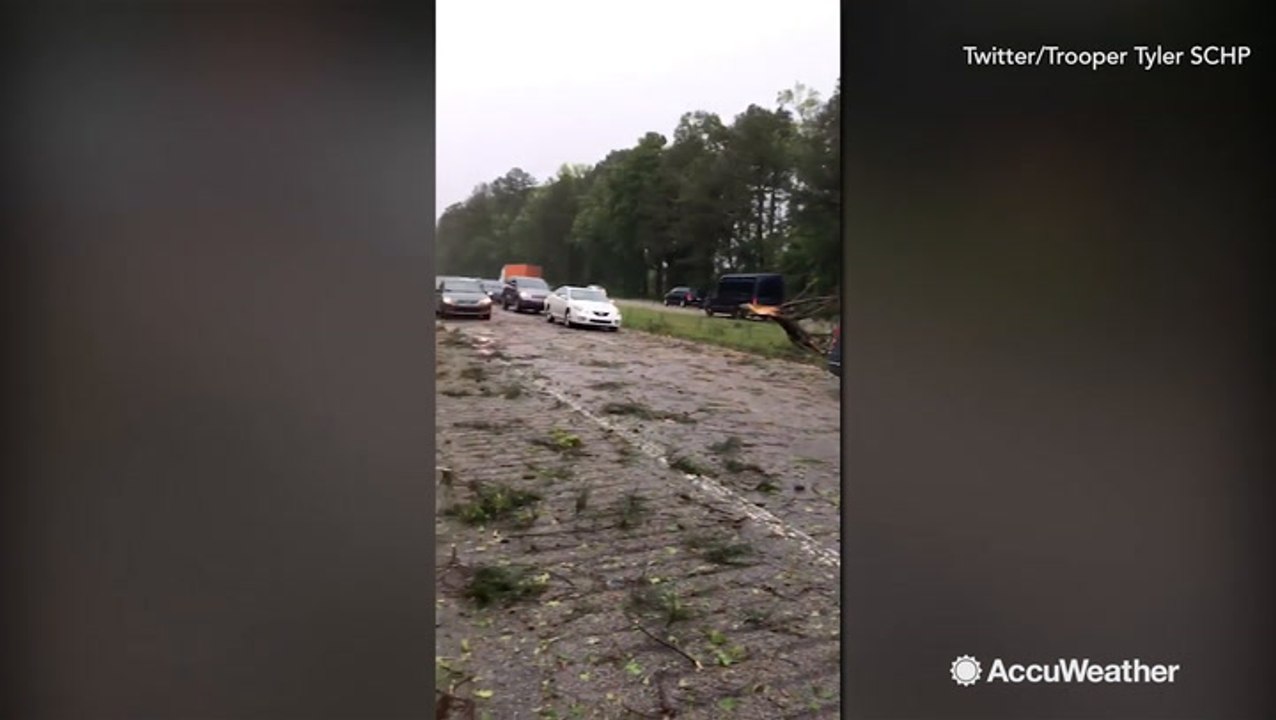 Traffic on Interstate 26 halts due to multiple trees down