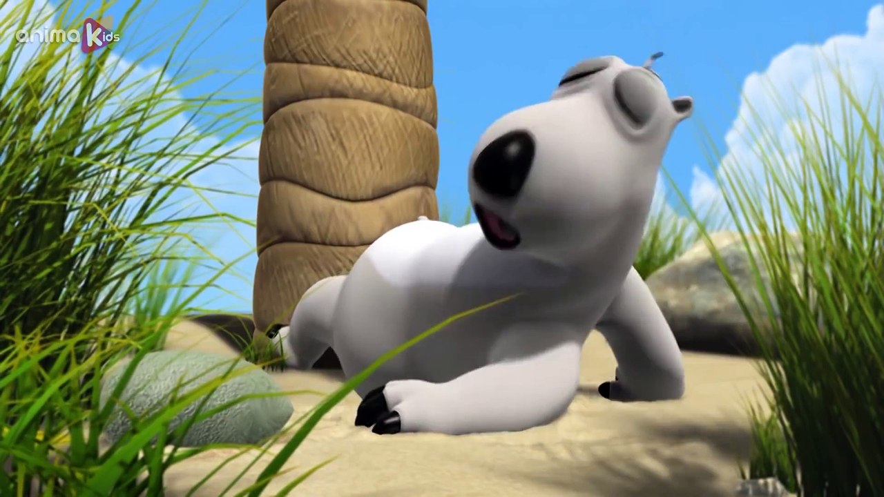 Bernard Bear | Le Boomerang | Bernard l'Ours | Dessin animé pour les enfants |