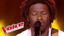 Francis Cabrel – L'encre de tes yeux | Emmanuel Djob | The Voice France 2013 | Prime 1