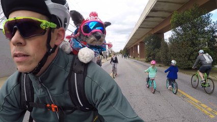 These Pets Love to Ride Bikes
