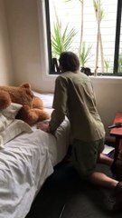Carpet Python Retrieved From Child's Bedroom