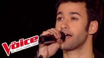 Michel Berger – Chanter pour ceux | Anthony Touma | The Voice France 2013 | Prime 2
