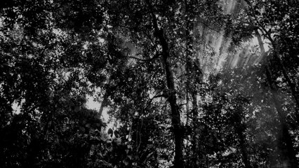 Roo Panes - Thinking Of Japan