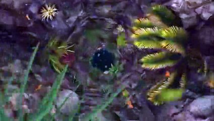 인천출장안마 -후불100%ョØ1Øq2671c8135｛카톡CT369｝인천전지역출장마사지샵'예약'인천출장qc안마es인천출장안마 cos여3인천출장마사지황형☜●♀인천콜걸