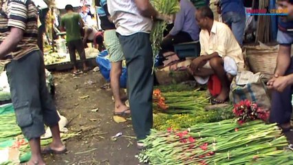 Explore Kolkata Mullick Ghat Flower Market | The largest flower market of India | Vagabond Bangali