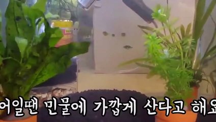 사천출장안마 -후불100%ョØ1Øq2671c8135｛카톡CT369｝사천전지역출장마사지샵'예약'사천출장qc안마es사천출장안마 cos여3사천출장마사지황형ぱひふ사천콜걸