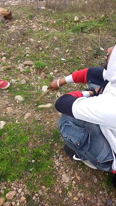 Aisi Masti Kabhi Nahi Dekhi Hogi Apne