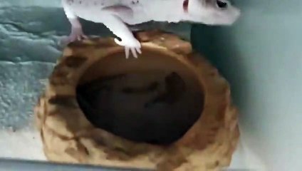 가평출장안마 -후불100%ョØ7Øn8782v38ØØ｛카톡FFFKKK｝가평전지역출장마사지샵'예약'가평출장qc안마es가평출장안마 cos여3가평출장마사지황형ヨラリ가평콜걸