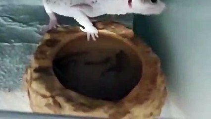 상록출장안마 -후불100%ョØ7Ød7333w9649｛카톡VV23｝상록전지역출장마사지샵'예약'상록출장qc안마es상록출장안마 cos여3상록출장마사지황형だちづ상록콜걸