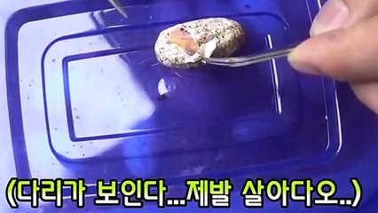 밀양출장안마 -후불100%ョØ7Øn8782v38ØØ｛카톡ZF66｝밀양전지역출장마사지샵'예약'밀양출장qc안마es밀양출장안마 cos여3밀양출장마사지황형∀∑ 밀양콜걸