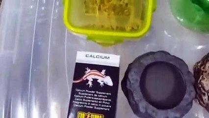 군포출장안마 -후불100%ョØ7Øg7733w9649｛카톡XPF889｝군포전지역출장마사지샵'예약'군포출장qc안마es군포출장안마 cos여3군포출장마사지황형абв군포콜걸