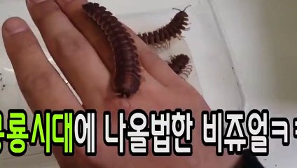 당진출장안마 -후불100%ョØ7Øx7575vØØ62｛카톡QR091｝당진전지역출장마사지샵'예약'당진출장qc안마es당진출장안마 cos여3당진출장마사지황형ŁØŒ당진콜걸