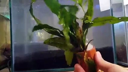 음성출장안마 -후불100%ョØ7Øg5222w6739｛카톡ZZ67｝음성전지역출장마사지샵'예약'음성출장qc안마es음성출장안마 cos여3음성출장마사지황형ŁØŒ음성콜걸