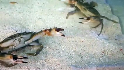 의창구출장안마 -후불100%ョØ1Øw2997d5327｛카톡DDR88}의창구전지역출장마사지샵'예약'의창구출장qc안마es의창구출장안마 cos여3의창구출장마사지황형ヂッツ의창구콜걸