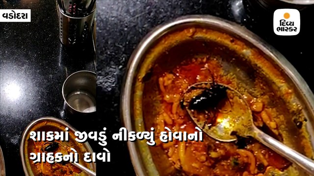 વડોદરાની કાઠીયાવાડી ખડકી' હોટલમાં શાકમાં જીવડું નીકળ્યું હોવાનો ગ્રાહકનો દાવો
