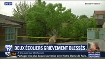 Deux écoliers grièvement blessés par la chute d'un arbre dans le Tarn-et-Garonne