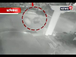 सीसीटीवी कैमरे में कैद हुए दो गुलदार, कुत्ते को बनाया निवाला