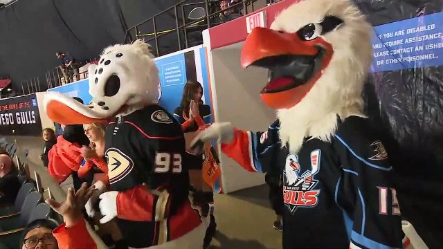 AHL San Jose Barracuda 5 at San Diego Gulls 3