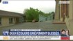 Chute d'arbre dans une cour d'école: "Les deux enfants sont sortis d'affaire" annonce le préfet du Tarn-et-Garonne