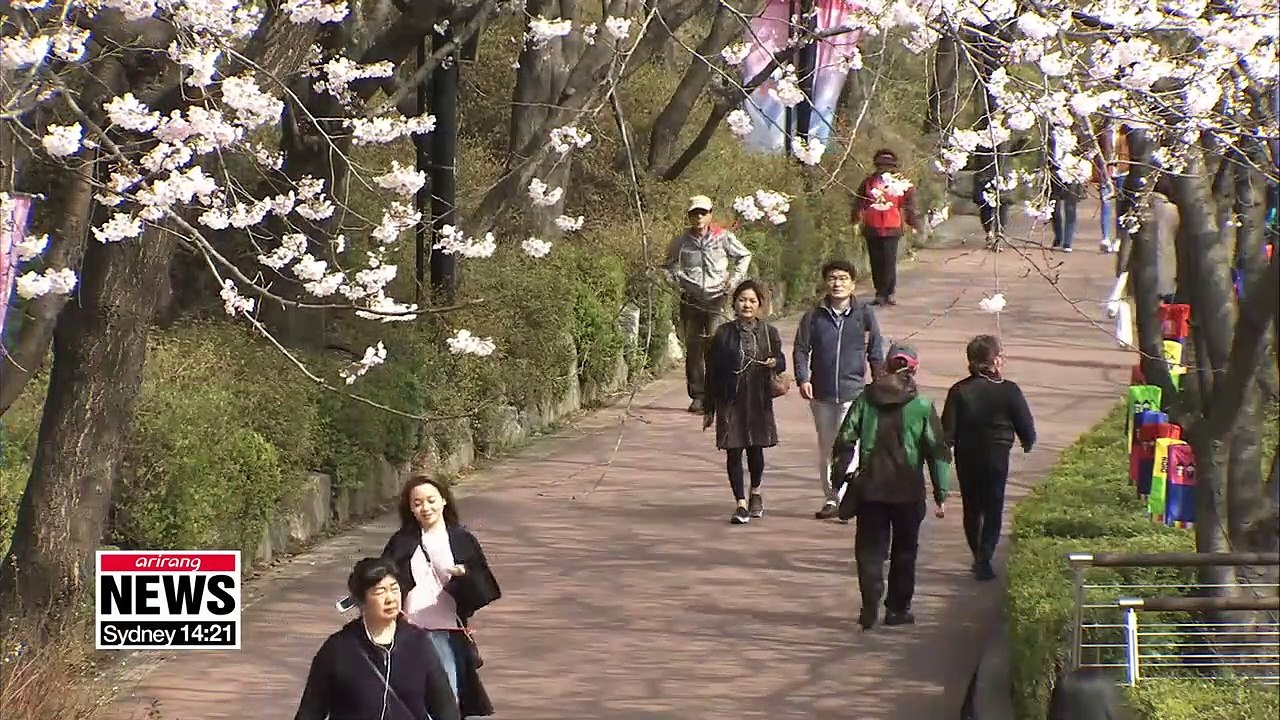 Spring allergies lasting longer this year due to warmer temperatures