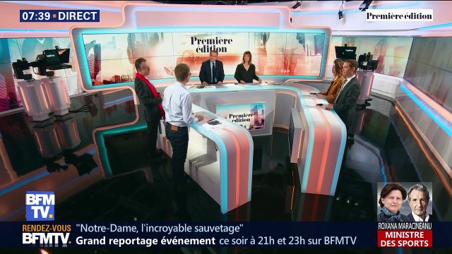 Les abeilles de Notre-Dame miraculées