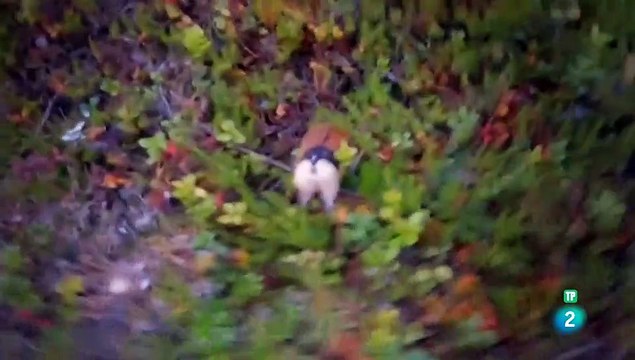 Extrañas maravillas del mundo. Episodio (3) - DOCUMENTAL - DOCUMENTALES CIENCIA - DOCUMENTALES INTERESANTES -DOCUMENTALES DE LA 2