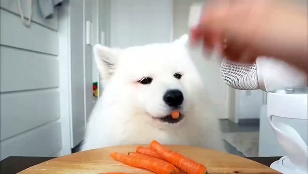 사설토토사이트추천 ⊙ ｎａｖｅ８８，ｃｏｍ ∽ 코드；ｓｋｃ ⊙ 사설토토사이트추천