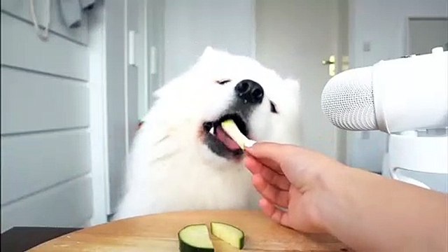 사설토토추천사이트 ⊙ ｎａｖｅ８８，ｃｏｍ ∽ 코드；ｓｋｃ ⊙ 사설토토추천사이트