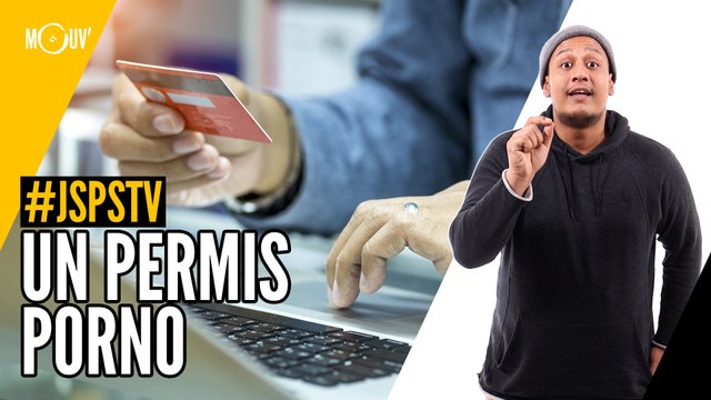 Je sais pas si t’as vu…. Un permis porno