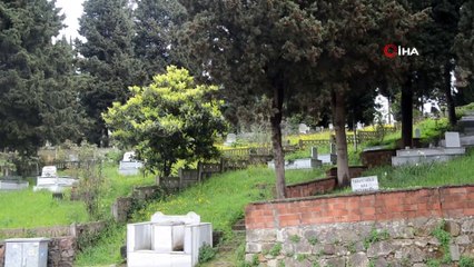 Ordu'da 'Davaro' filmi gerçek oldu...Mezarların farklı yönlerde defnedilmiş olması görenleri hayretler içerisinde bırakıyor